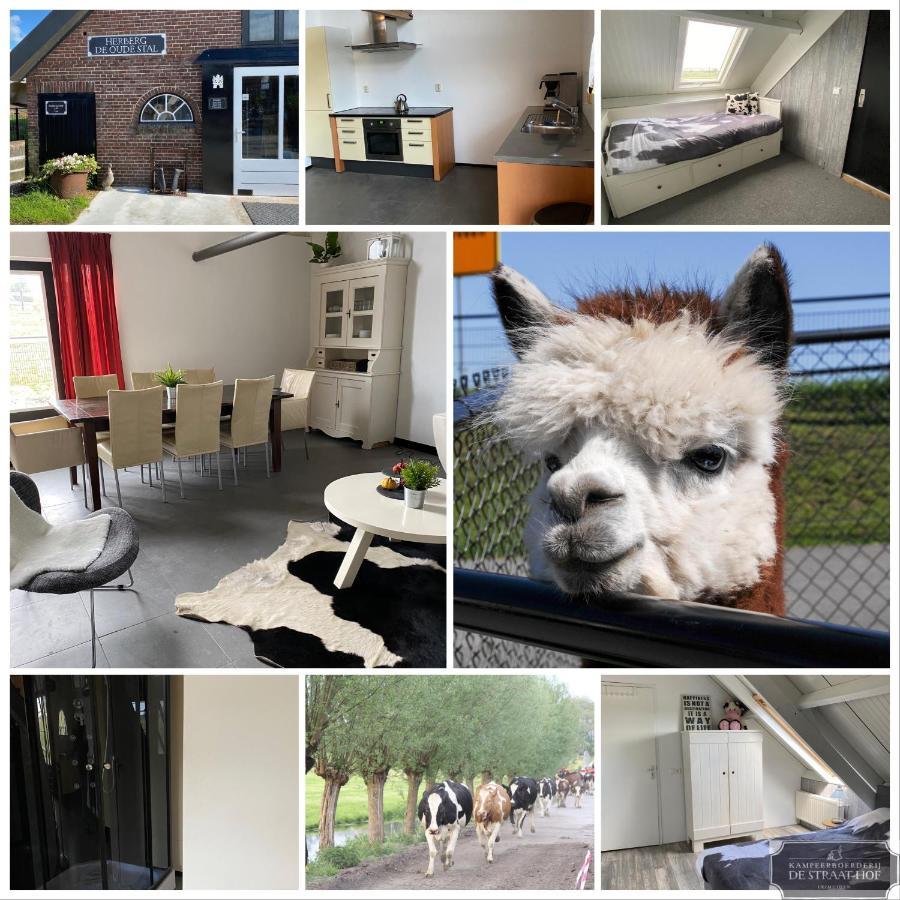 Leimuiden Herberg Boerderij De Straat-Hof Bed & Breakfast エクステリア 写真