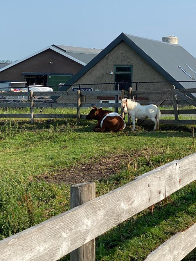 Leimuiden Herberg Boerderij De Straat-Hof Bed & Breakfast エクステリア 写真