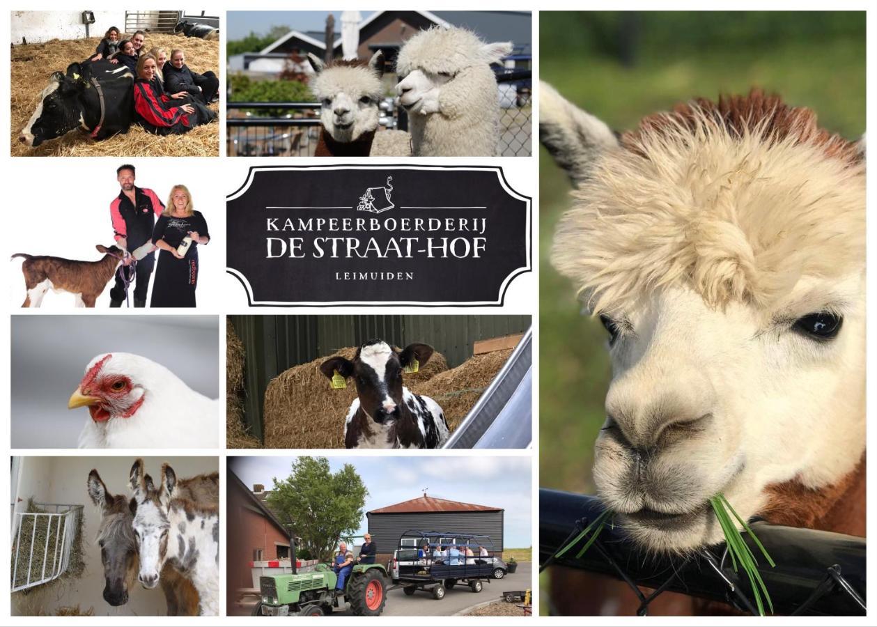 Leimuiden Herberg Boerderij De Straat-Hof Bed & Breakfast エクステリア 写真