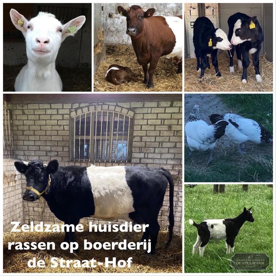 Leimuiden Herberg Boerderij De Straat-Hof Bed & Breakfast エクステリア 写真