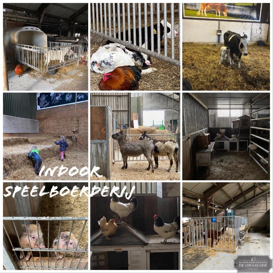 Leimuiden Herberg Boerderij De Straat-Hof Bed & Breakfast エクステリア 写真